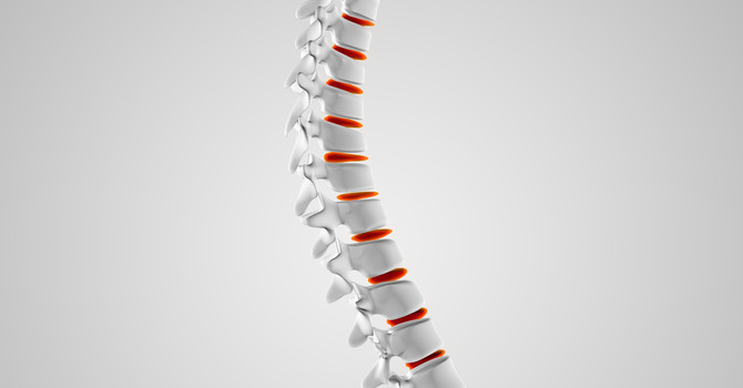 The Importance of Spinal Health for Overall Wellness image