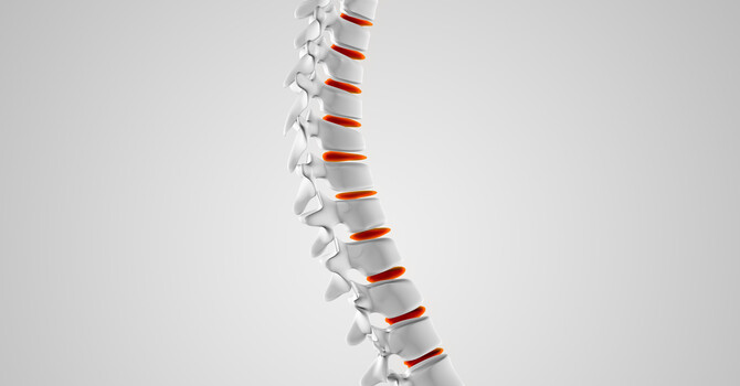 The Importance of Spinal Health for Overall Wellness