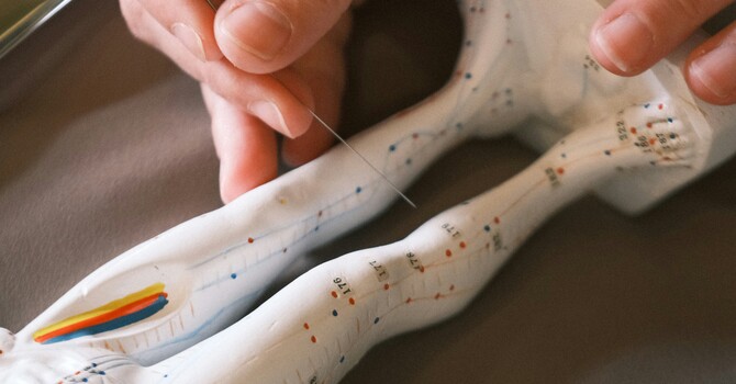 What If Pain Is a Message, Not a Malfunction?